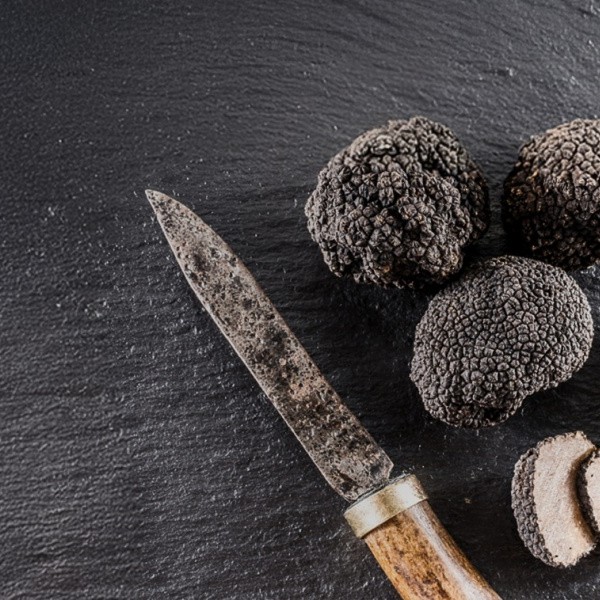 Bílý a černý lanýž v La Villa