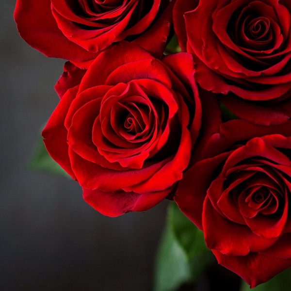 Valentýn v La Villa